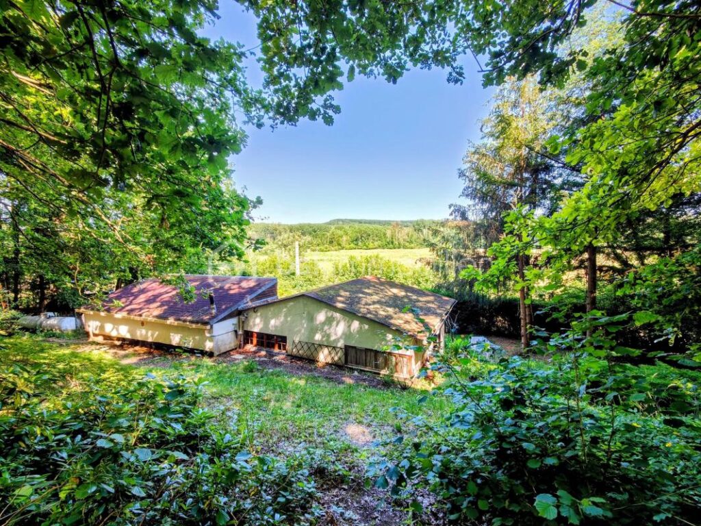 La Maison des Cyclamens : 2 ch, garage sur 1625 m2 dans un espace boisé classé – 3 pièces – 2 chambres – 51 m²