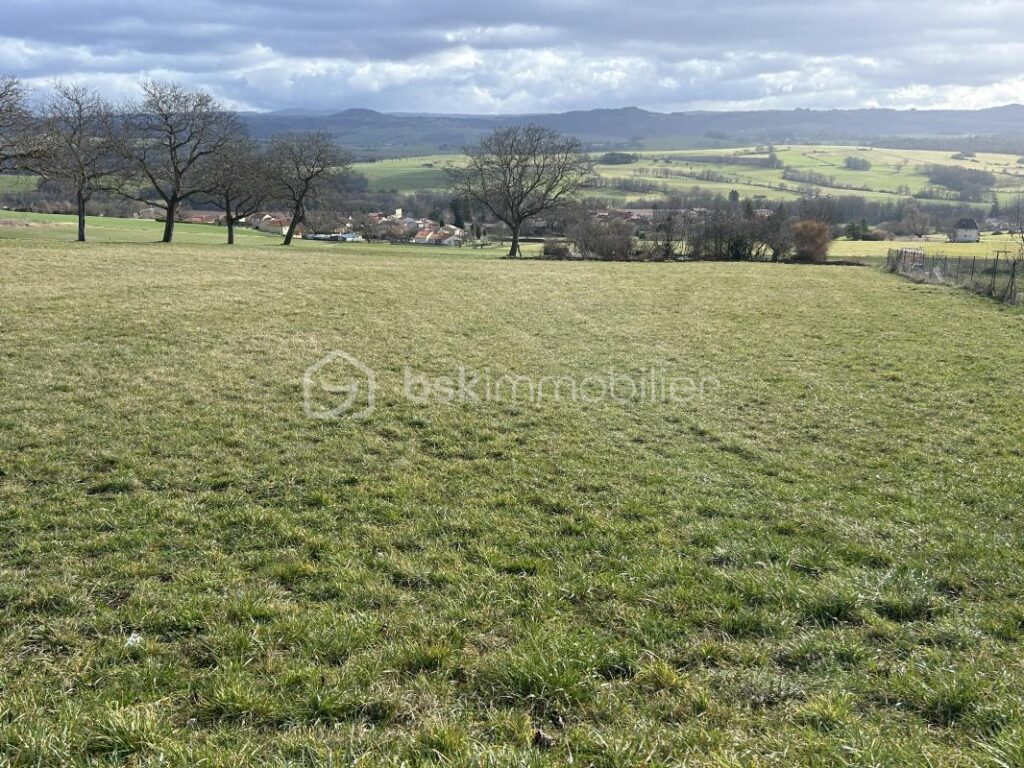 5 Mins d’Issoire/ Terrain constructible viabilisé 910m2 – NR pièces – NR chambres – 911 m²