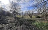 🌿 Terrain constructible 1 860 m² – Peyrignac (24210) – Cadre calme et verdoyant – NR pièces – NR chambres – 1860 m²