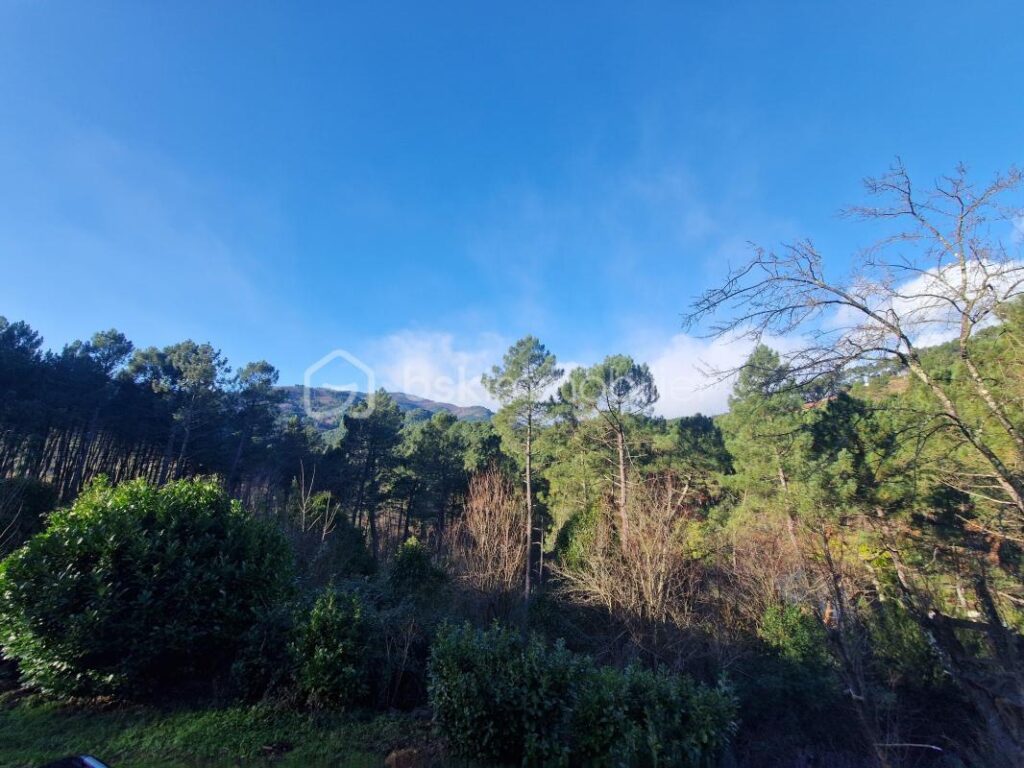 Spécial investisseurs!! Villa de 214m² sur 2330m² de terrain! 5 logements dont 4 loués – 10 pièces – NR chambres – 214 m²