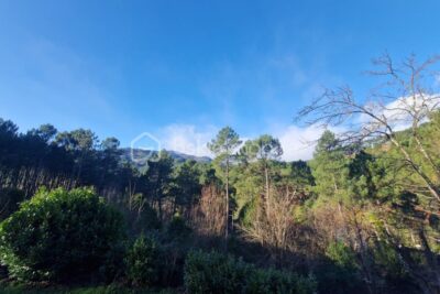 Spécial investisseurs!! Villa de 214m² sur 2330m² de terrain! 5 logements dont 4 loués – 10 pièces – NR chambres – 214 m²