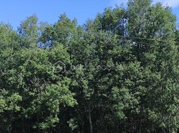 VENDS TERRAIN CONSTRUCTIBLE DE 1821 M2 A VERLHAC-TESCOU – NR pièces – NR chambres – 1821 m²