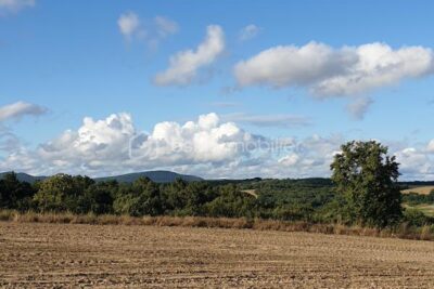 Terrain constructible et viabilisé de 2061 m2 proche Montdurausse – NR pièces – NR chambres – 2061 m²