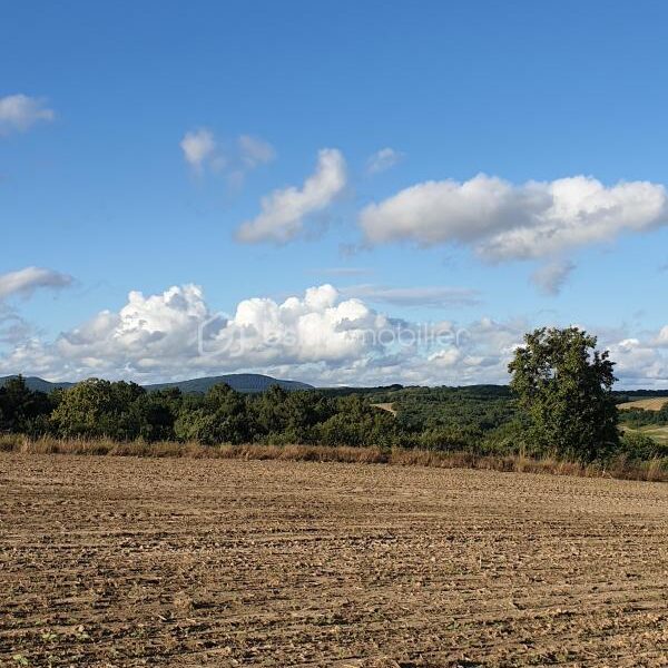 Terrain à vendre à Salvagnac