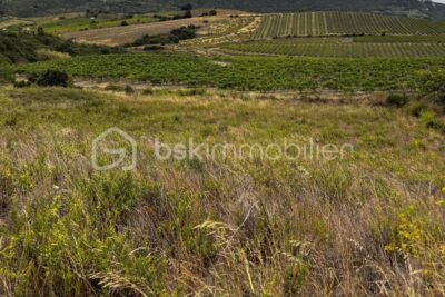 Un havre de paix à Palefalcou : terrain spacieux et verdoyant – NR pièces – NR chambres – 4685 m²
