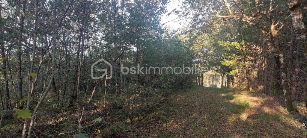 VENDS TERRAIN CONSTRUCTIBLE DE 1428 M2 DANS DES BOIS – NR pièces – NR chambres – 1428 m²