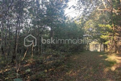 VENDS TERRAIN CONSTRUCTIBLE DE 1428 M2 DANS DES BOIS – NR pièces – NR chambres – 1428 m²