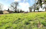 Terrain 2390 m² à Montrol-Sénard – NR pièces – NR chambres – 2390 m²