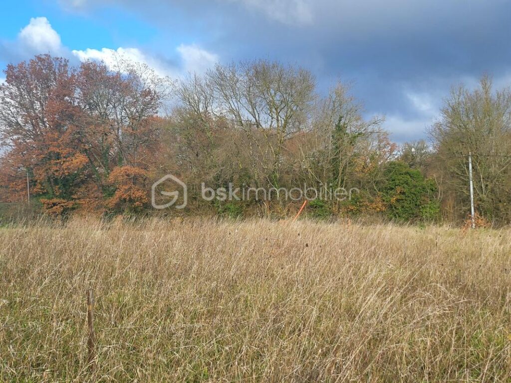 TERRAIN CONSTRUCTIBLE A CALIGNAC- 2997 m² – NR pièces – NR chambres – 2997 m²
