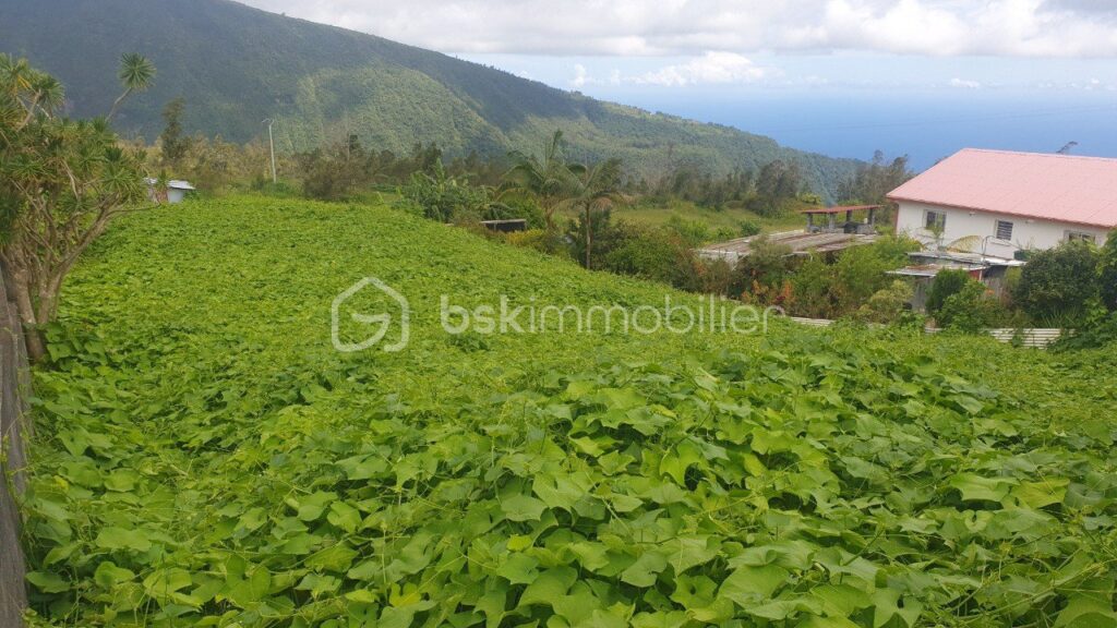 Vente Terrain Constructible de 993 m² sur Grand Coude – NR pièces – NR chambres – 993 m²