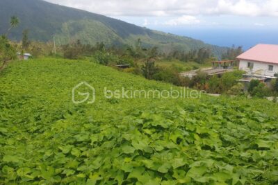 Vente Terrain Constructible de 993 m² sur Grand Coude – NR pièces – NR chambres – 993 m²