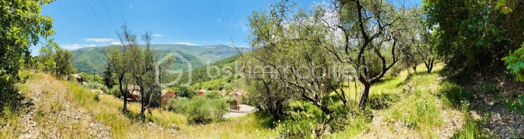 🌿 Terrain constructible – Pierrefeu (06910) 🌿 – NR pièces – NR chambres – 3077 m²