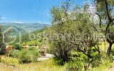 🌿 Terrain constructible – Pierrefeu (06910) 🌿 – NR pièces – NR chambres – 3077 m²