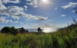 Découvrez votre futur projet de vie en plein cœur des Caraïbes ! – NR pièces – NR chambres – 5020 m²