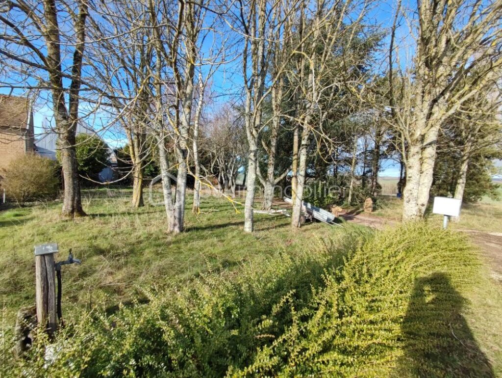 Pavillon de plain pied avec une grange de 210m²,un garage et un hangar sur 4827 m² de terrain – 3 pièces – 2 chambres – 60 m²