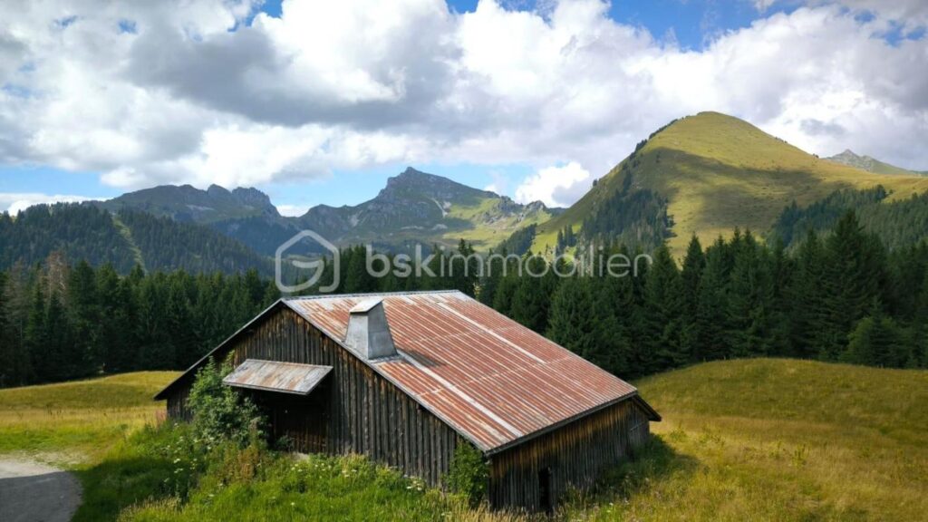 Investissement idéal au coeur des Alpes – Studio au Praz-de-Lys à 2min des pistes ! – 1 pièce – 1 chambre – 20 m²
