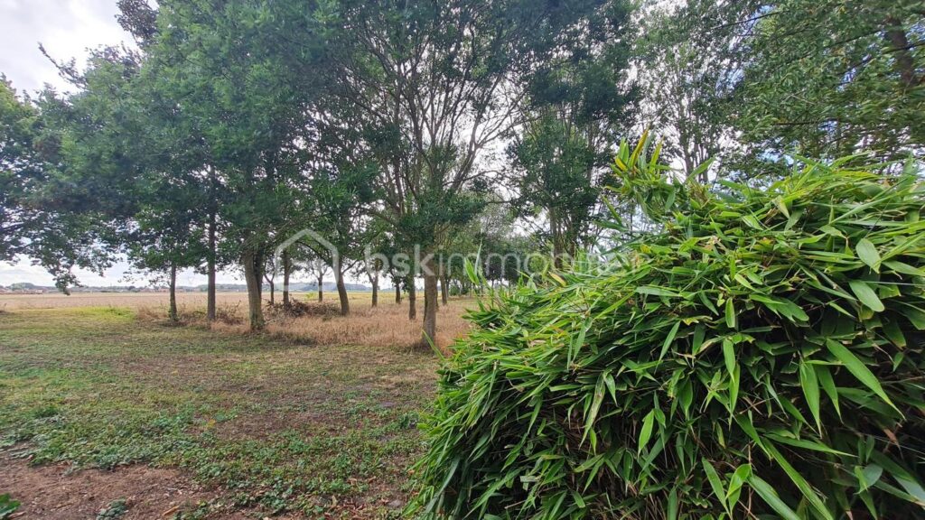 Baisse de prix ! Rare : Pavillon individuel plain-pied + 3 chambres + double garage + atelier+ jardin – 5 pièces – 3 chambres – 95 m²