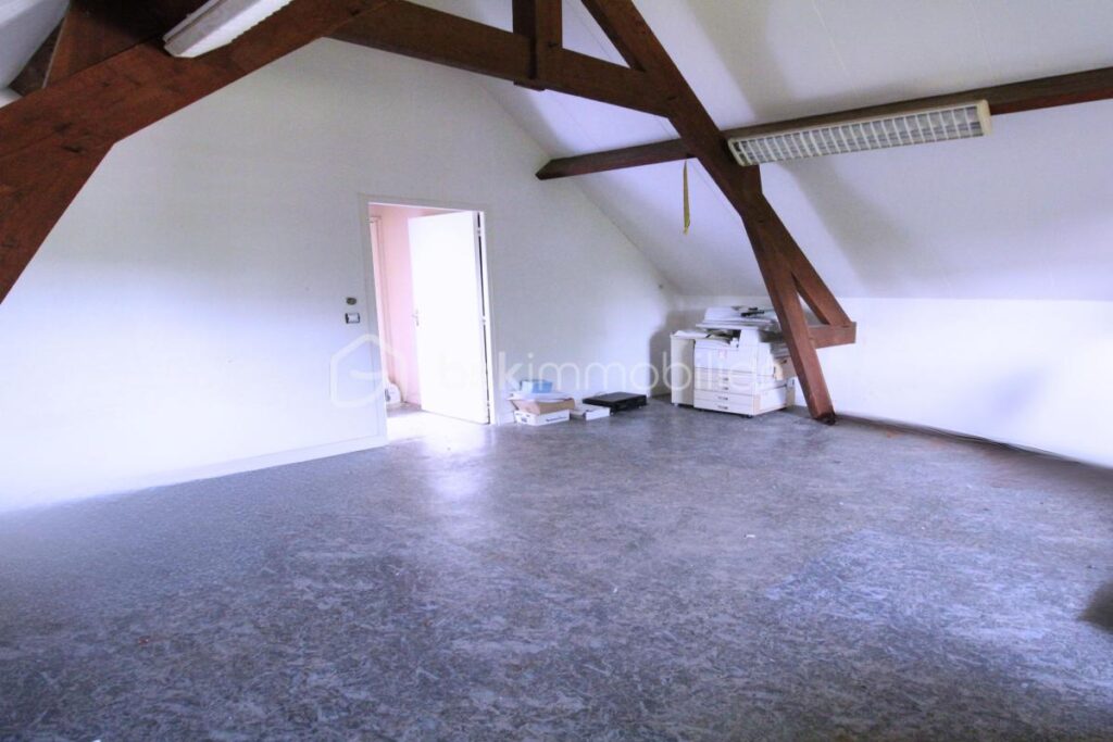 Maison de charme à la campagne, havre de paix à Nanteau-sur-Lunain 77710 – 9 pièces – 7 chambres – 269 m²