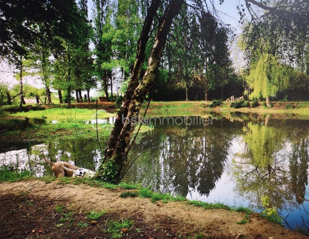 Maison de caractère 326m² – 11 pièces – 6 chambres – 326 m²