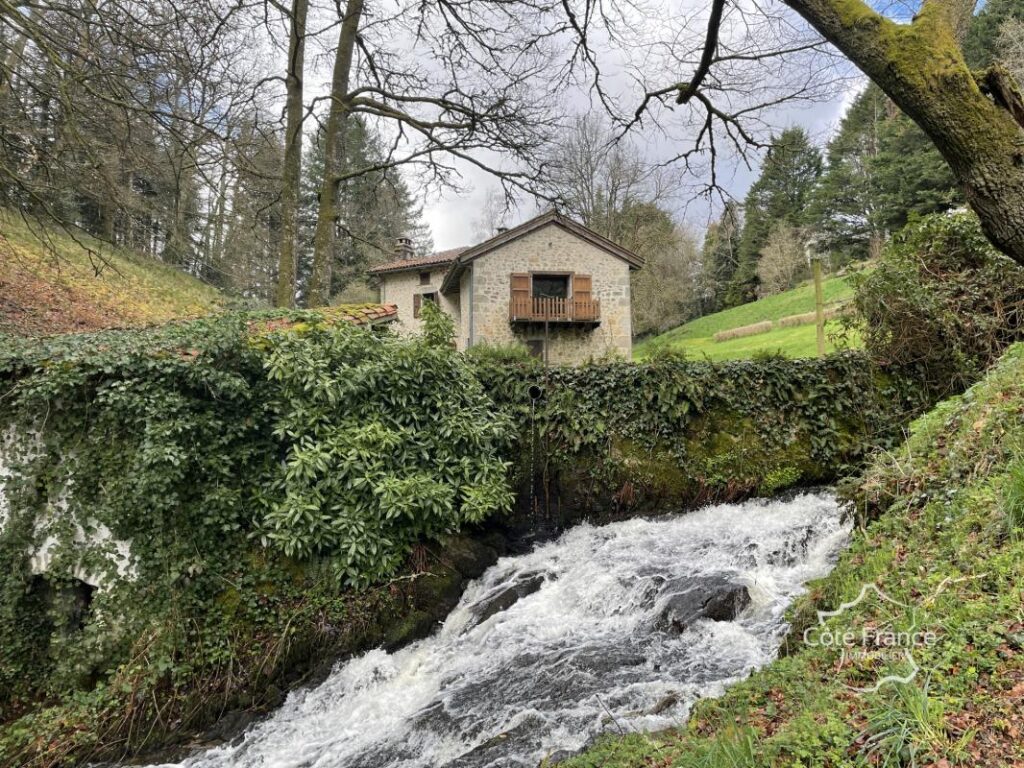 Ancien moulin avec droit d’eau et 2,2 hectares du terrain, C – 7 pièces – 4 chambres – 209 m²