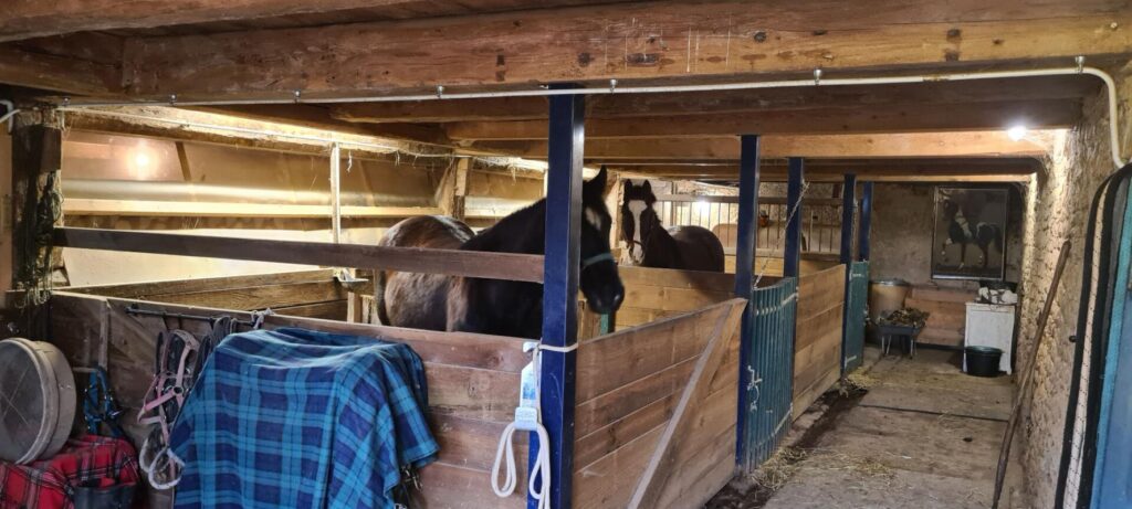 ANCIEN CORPS DE FERME RENOVE 8 PIECES 222 m² SUR TERRAIN DE 46 ARES 390000 EUROS – 8 pièces – 3 chambres – 222 m²