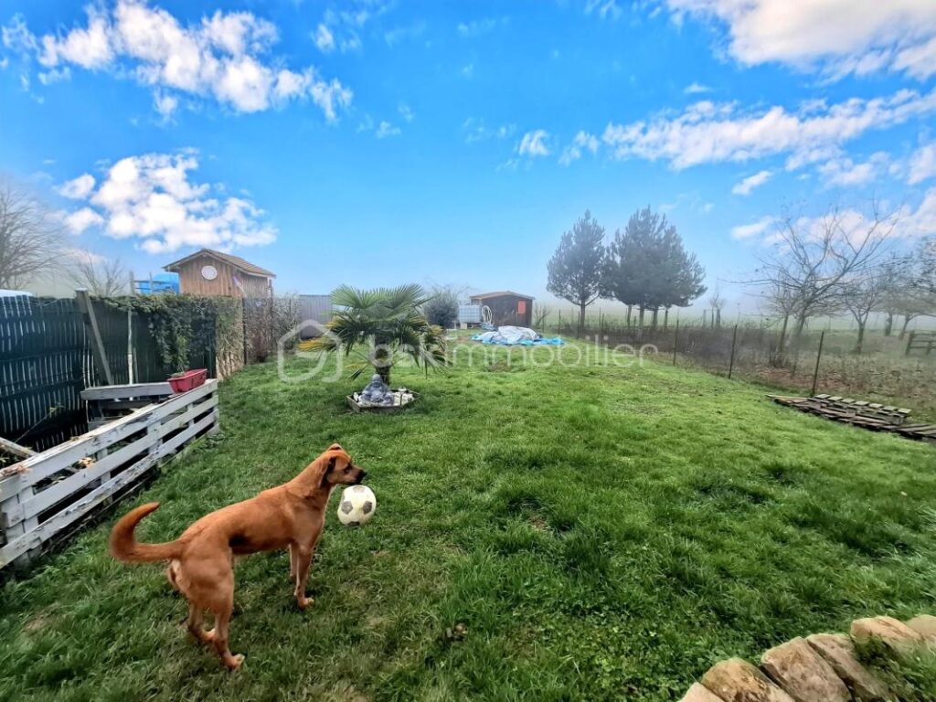 Maison de plain pied lumineuse 3 chambres avec jardin – 4 pièces – 3 chambres – 99 m²