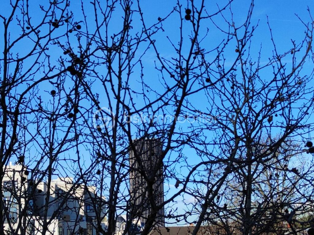 Paris 14ème Secteur Raspail/Denfert Rochereau, Dans un immeuble de standing, studio en parfait état au dernier étage avec ascenseur – 1 pièce – NR chambres – 23 m²