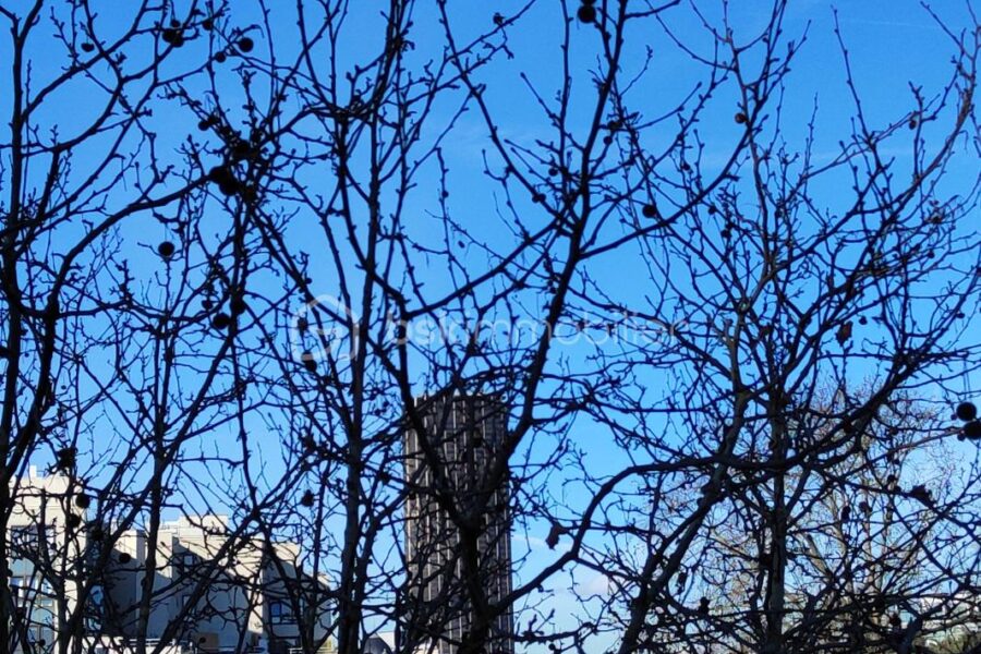 Appartement à vendre à Paris 14e arrondissement