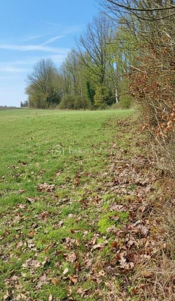 Terrain à vendre à Le plantis