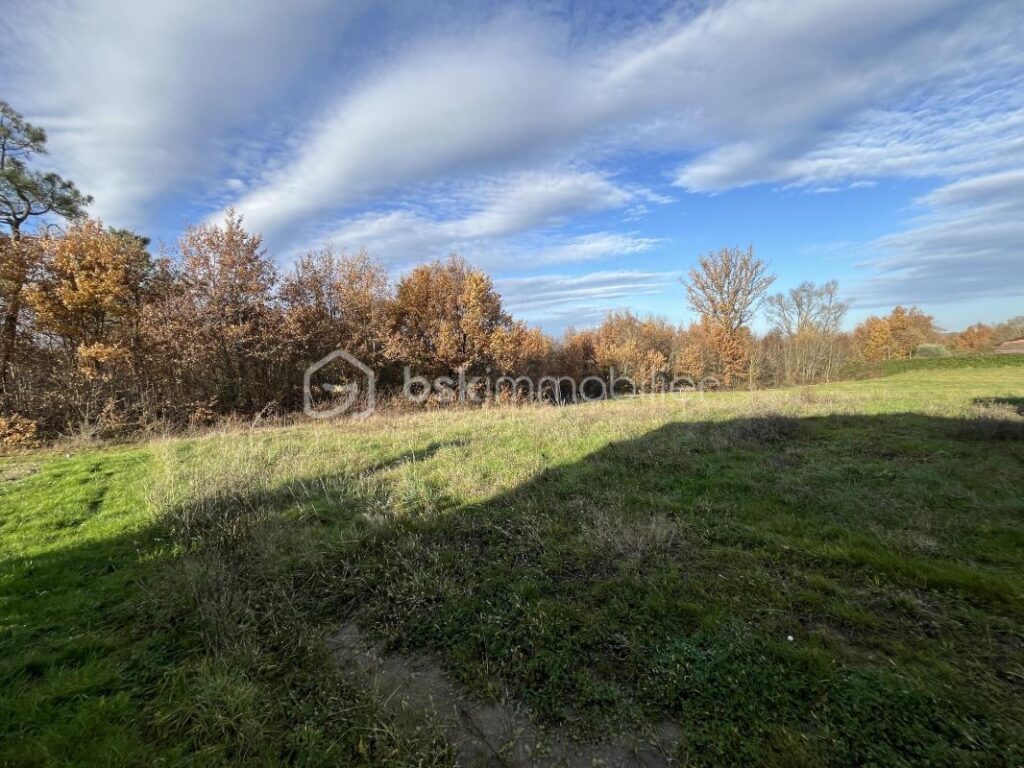 exclusivité – 4 pièces – 2 chambres – 71 m²