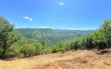 Terrain constructible de 1 605 m² – Vue panoramique – Pierrefeu (06910) À seulement 45 minutes de Nice, dans un cadre naturel privilégié – NR pièces – NR chambres – 1605 m²
