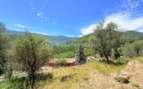 🌿 Terrain constructible – Pierrefeu (06910) 🌿 – NR pièces – NR chambres – 3077 m²