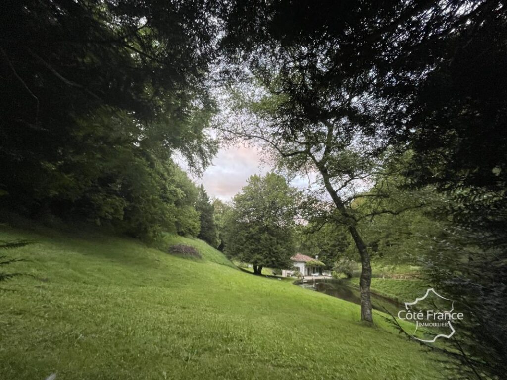 Ancien moulin avec droit d’eau et 2,2 hectares du terrain, C – 7 pièces – 4 chambres – 209 m²