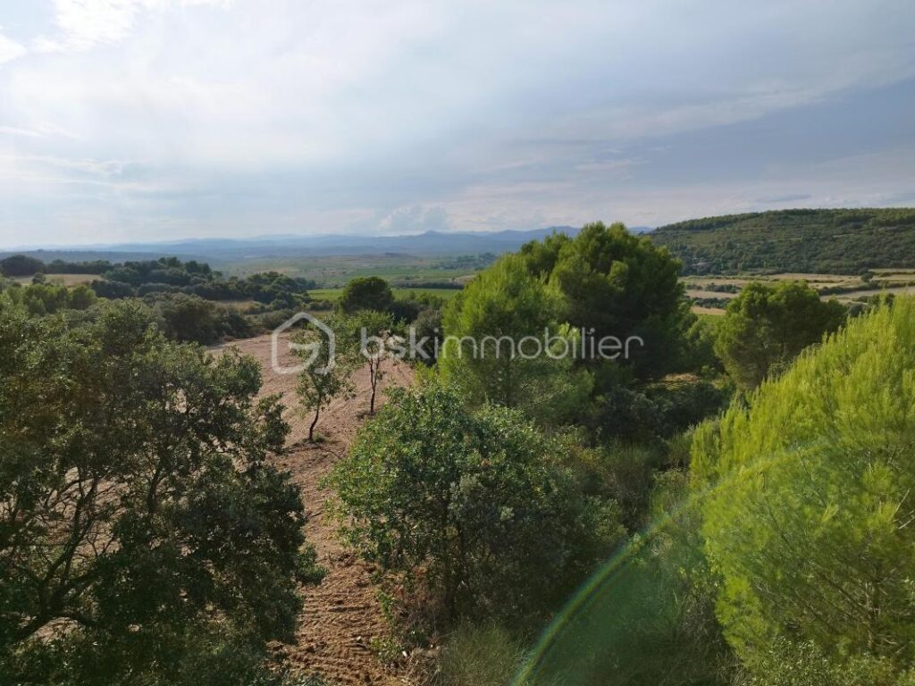 2 villas récentes sur 2 hectares de terrain – 10 pièces – 7 chambres – 305 m²