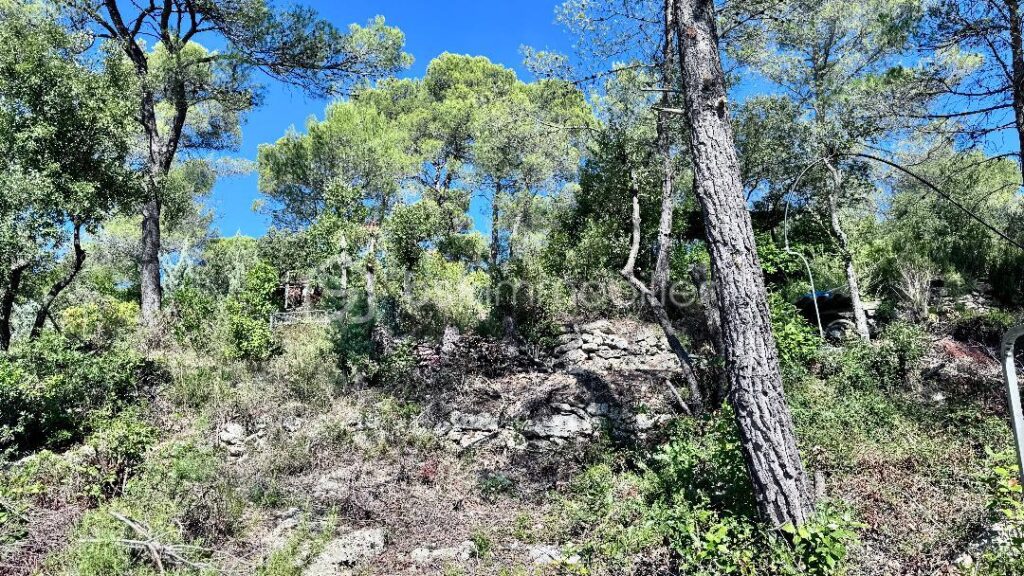 Achat d’une Maison familiale avec vue dominante sur la vallée – 4 pièces – 3 chambres – 119 m²