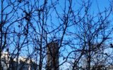 Appartement à vendre à Paris 14e arrondissement
