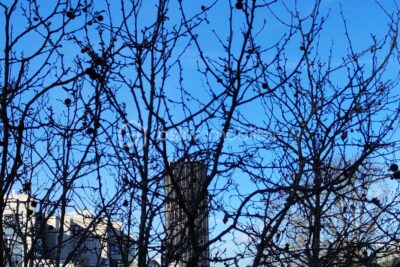 Paris 14ème Secteur Raspail/Denfert Rochereau, Dans un immeuble de standing, studio en parfait état au dernier étage avec ascenseur – 1 pièce – NR chambres – 23 m²