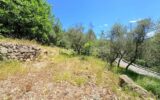 🌿 Terrain constructible – Pierrefeu (06910) 🌿 – NR pièces – NR chambres – 3077 m²