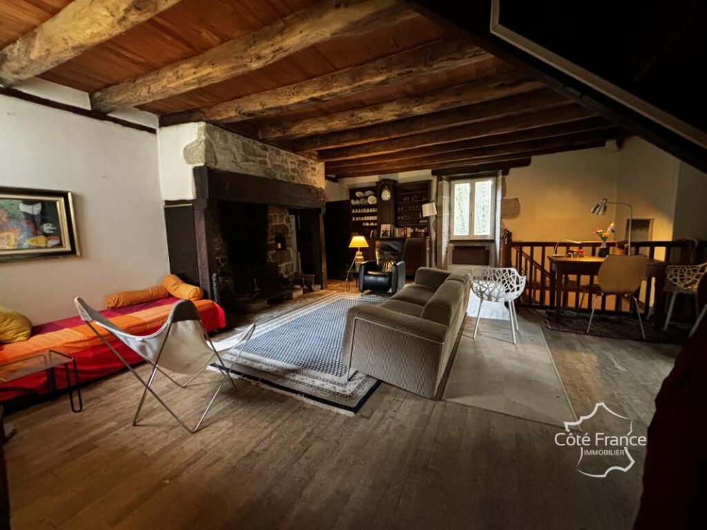 Ancien moulin avec droit d’eau et 2,2 hectares du terrain, C – 7 pièces – 4 chambres – 209 m²