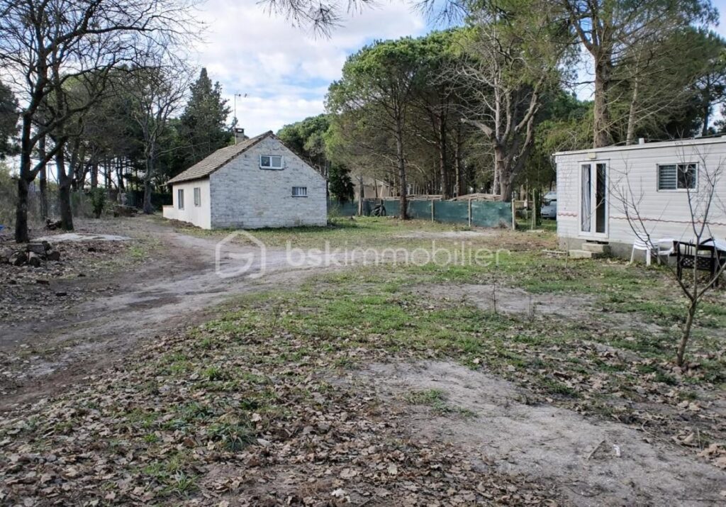AIGUES MORTES : Maison 4 pièces avec terrasse – Cadre verdoyant et calme absolu – 4 pièces – 2 chambres – 60 m²