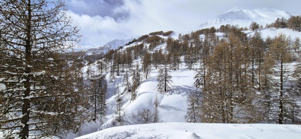 🏔️ GRAND STUDIO 6 COUCHAGES – LA FOUX D’ALLOS – VUE MONTAGNES – 1 pièce – NR chambres – 31 m²