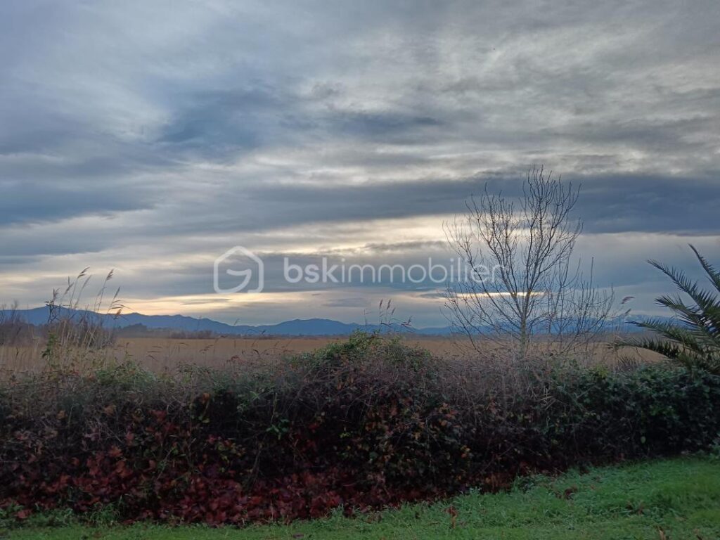 Appartement lumineux avec terrasse ensoleillée à Canet-en-Roussillon – 2 pièces – 1 chambre – 43 m²