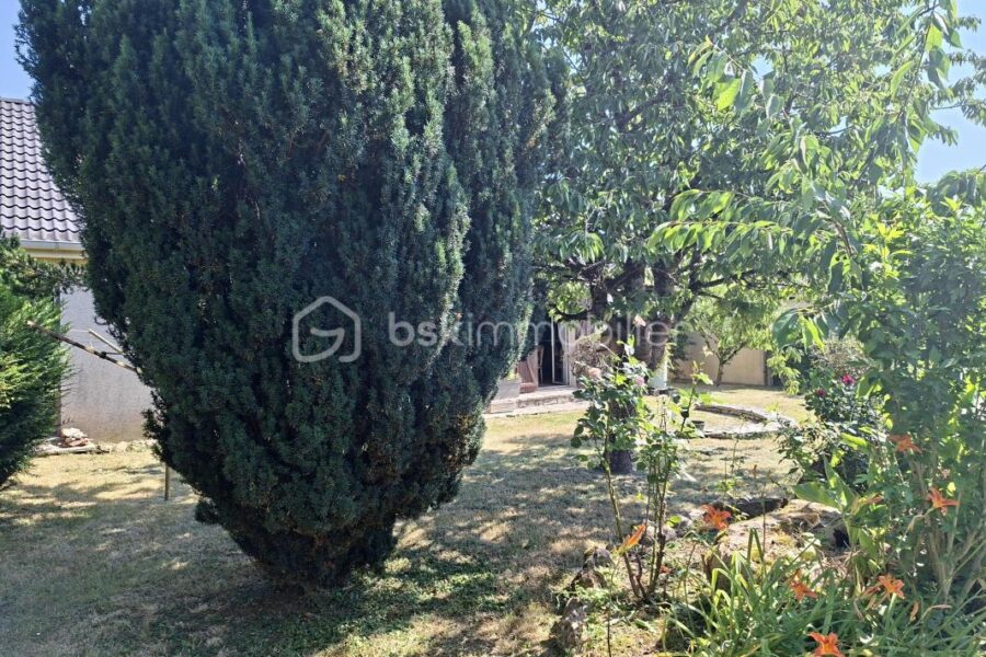 Maison à vendre à Cheroy — Vue nature — photo 1
