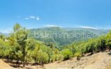 Terrain constructible de 1 605 m² – Vue panoramique – Pierrefeu (06910) À seulement 45 minutes de Nice, dans un cadre naturel privilégié – NR pièces – NR chambres – 1605 m²