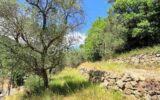 🌿 Terrain constructible – Pierrefeu (06910) 🌿 – NR pièces – NR chambres – 3077 m²