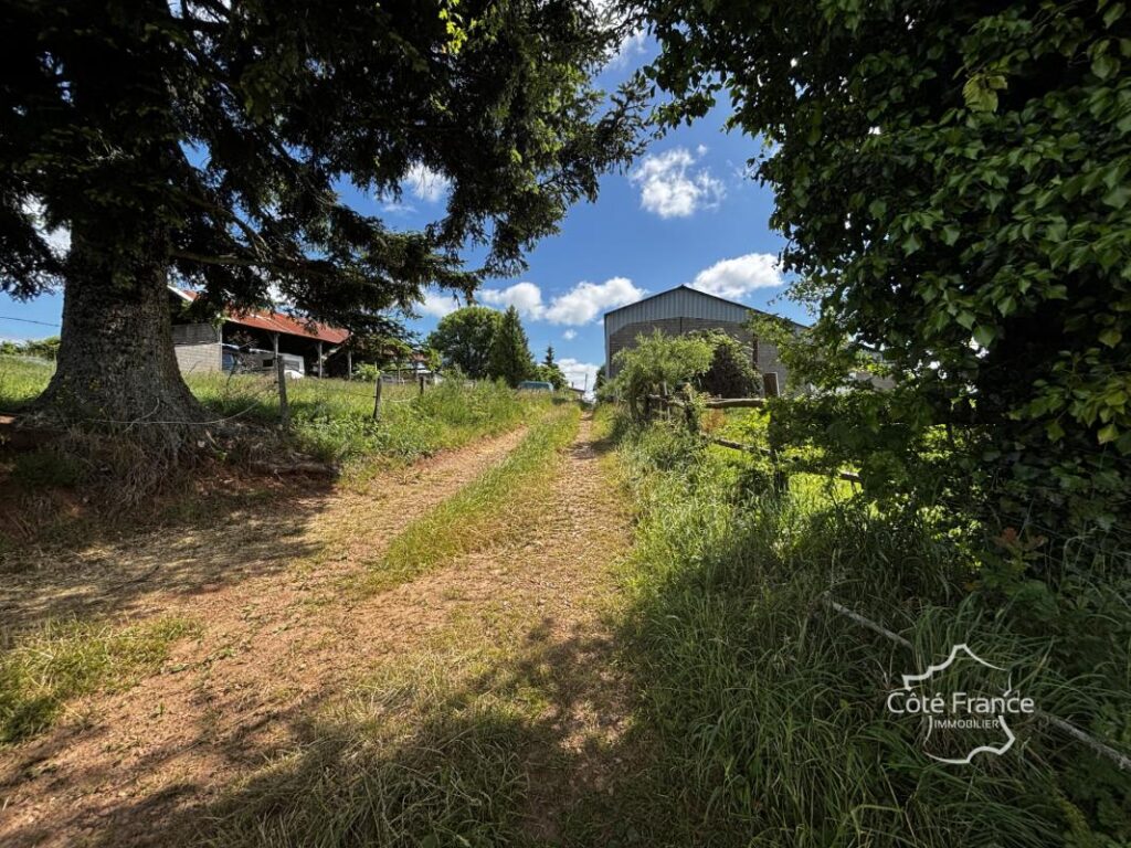 Corps de ferme avec maison d’habitation, plusieurs grandes d – 6 pièces – 3 chambres – 98 m²