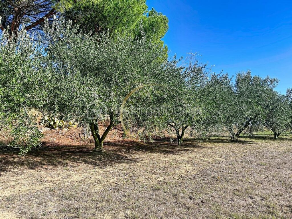 MAISON DE 120 M2 + GITE 90 m2 – 4 pièces – 2 chambres – 120 m²