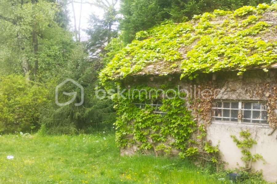 Maison à vendre à Forbach — Vue nature — photo 14