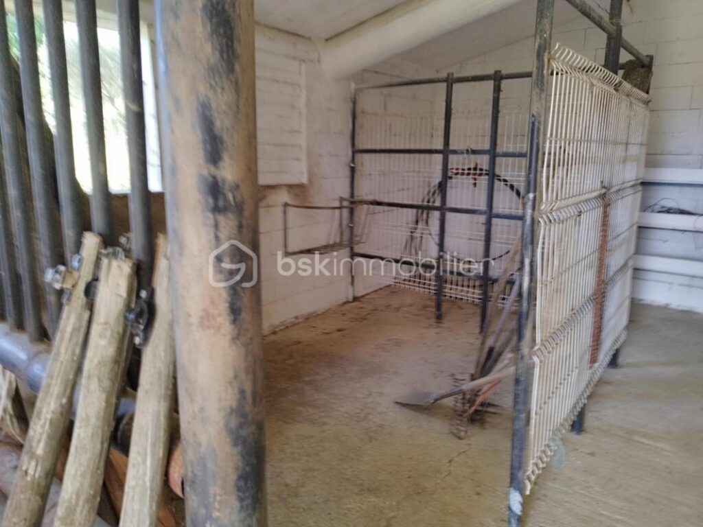 Propriété de 2 habitations et hangars – NR pièces – 8 chambres – 402 m²