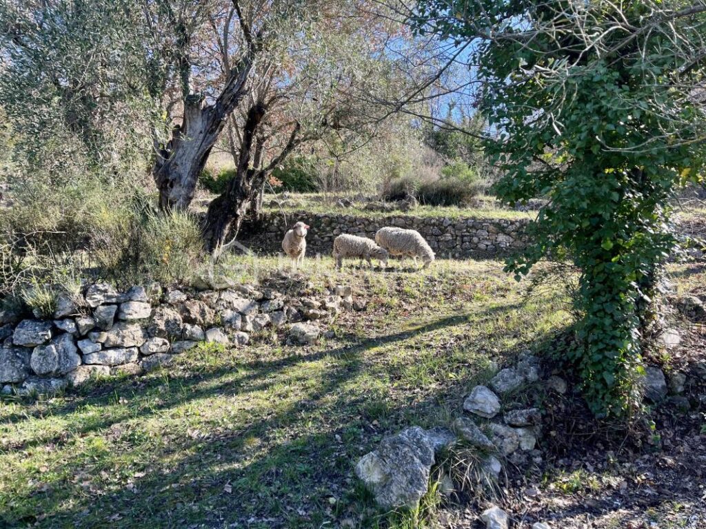 Villa 85 m² sur terrain de 4 200 m² – Callian (Var Est -83440) – Vue village – 3 pièces – 2 chambres – 85 m²